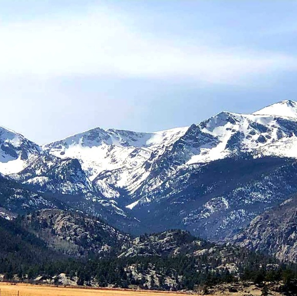 Meet your Posher, Sarah - Picture 4 of 8